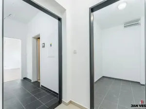 Prodej bytu 1+kk, Plzeň, Železná, 34 m2