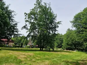 Prodej pozemku pro bydlení, Mařenice, 1610 m2