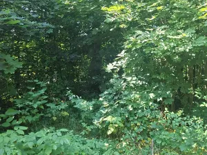 Prodej pozemku pro bydlení, Kozlovice, 1392 m2