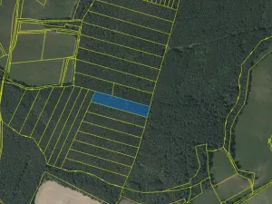 Prodej lesa, Chlumany, 4760 m2