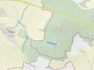 Prodej lesa, Chlumany, 4760 m2