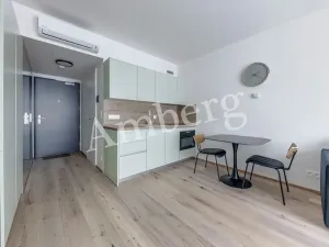 Pronájem bytu 1+kk, Praha - Karlín, Sokolovská, 28 m2