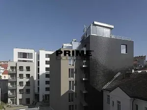 Pronájem bytu 2+kk, Praha - Žižkov, Prokopova, 72 m2