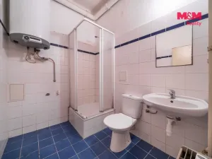 Prodej bytu 1+kk, Plzeň - Doubravka, Školní, 20 m2