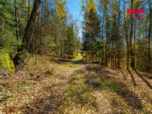 Prodej chalupy, Tanvald - Šumburk nad Desnou, 118 m2
