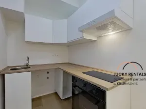 Pronájem bytu 1+1, Praha - Podolí, U Kublova, 41 m2