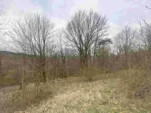Dražba louky, Mírová pod Kozákovem, 1000 m2