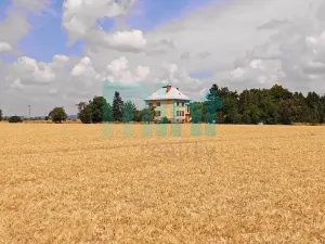Prodej pozemku pro bydlení, Uničov, 1126 m2