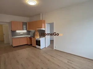 Pronájem bytu 2+kk, Praha - Nusle, Žateckých, 50 m2