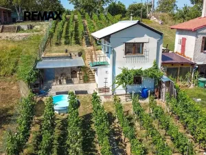 Prodej vinného sklepa, Tvrdonice, 46 m2