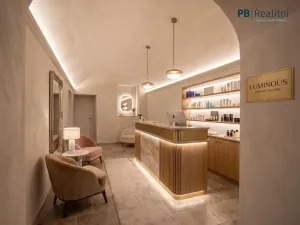 Prodej komerční nemovitosti, Praha - Karlín, Křižíkova, 235 m2
