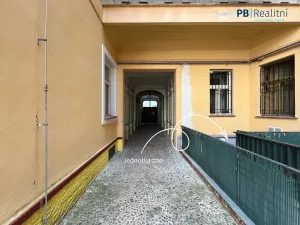 Prodej komerční nemovitosti, Praha - Karlín, Křižíkova, 235 m2