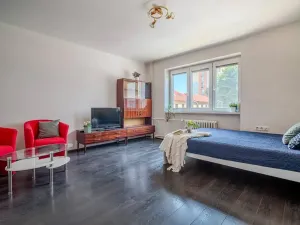 Prodej bytu 1+1, České Budějovice, Pražská tř., 31 m2