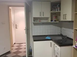 Pronájem bytu 1+kk, Praha - Podolí, Na Podkovce, 15 m2