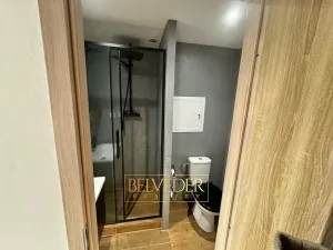 Pronájem bytu 2+kk, Teplice, Rooseveltovo náměstí, 40 m2