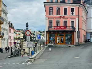 Pronájem apartmánu, Karlovy Vary, Zámecký vrch, 200 m2