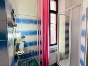 Pronájem apartmánu, Karlovy Vary, Zámecký vrch, 200 m2
