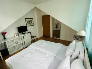 Pronájem apartmánu, Karlovy Vary, Zámecký vrch, 200 m2