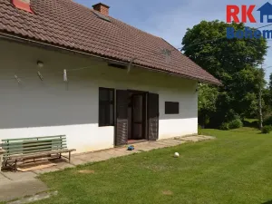 Prodej pozemku pro bydlení, Cholenice, 16365 m2