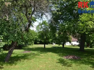 Prodej pozemku pro bydlení, Cholenice, 16365 m2