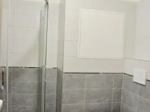 Pronájem bytu 1+kk, Olomouc, Janského, 35 m2