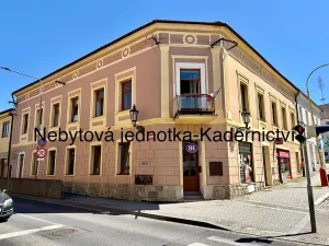 Prodej obchodního prostoru, Příbram, náměstí J. A. Alise, 49 m2