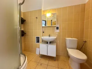 Pronájem bytu 1+1, Děčín, U Tvrze, 34 m2