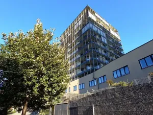Pronájem garážového stání, Praha - Žižkov, Malešická, 14 m2