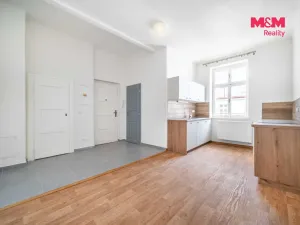 Pronájem bytu 2+kk, Plzeň, Koterovská, 60 m2