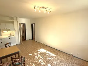 Pronájem bytu 1+kk, Praha - Chodov, Nad Opatovem, 30 m2