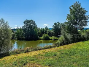 Prodej pozemku, Heřmanice, 63354 m2