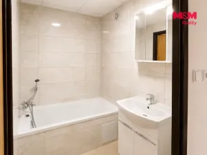 Pronájem bytu 1+1, Chomutov, Holešická, 36 m2