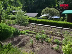 Prodej rodinného domu, Olešnice v Orlických horách, 72 m2