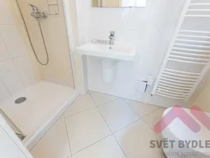 Pronájem bytu 3+1, Praha - Karlín, Za Poříčskou bránou, 94 m2