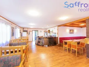 Prodej ubytování, Konstantinovy Lázně, V Aleji, 2252 m2