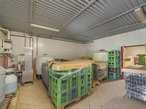 Prodej výrobních prostor, Velké Pavlovice, Trávníky, 400 m2