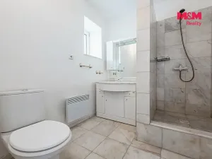 Pronájem rodinného domu, Říčany - Radošovice, Mozartova, 395 m2