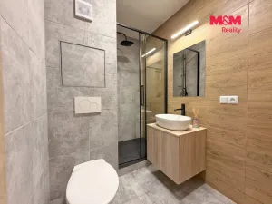 Prodej bytu 1+kk, České Budějovice - České Budějovice 3, Plzeňská, 21 m2