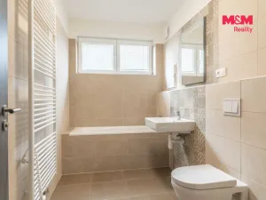 Pronájem bytu 1+kk, Heřmanova Huť - Vlkýš, U Pondu, 35 m2