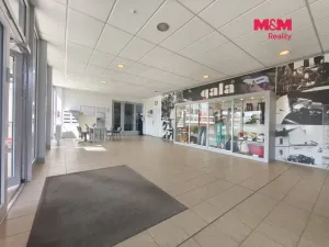Pronájem skladu, Prostějov, Západní, 383 m2