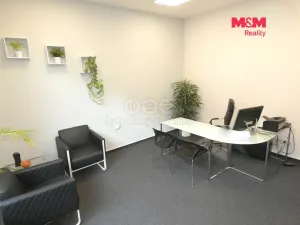 Pronájem obchodního prostoru, Ostrava - Mariánské Hory, 28. října, 40 m2