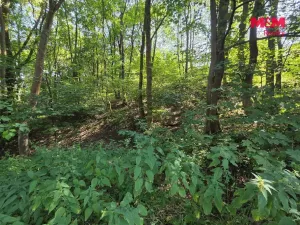 Prodej pozemku, Šemnice, 20949 m2