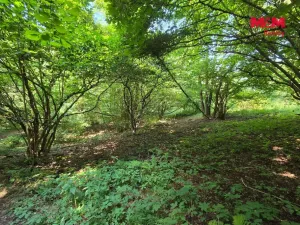 Prodej pozemku, Šemnice, 20949 m2