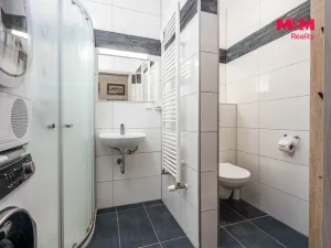 Prodej bytu 3+kk, Milovice - Mladá, Višňová, 65 m2