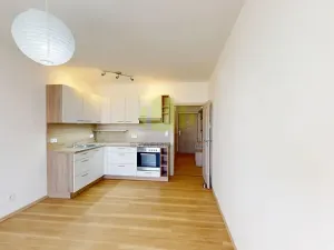 Pronájem bytu 1+kk, Olomouc, Janského, 28 m2