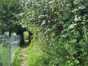 Prodej chaty, Kralupy nad Vltavou, 16 m2