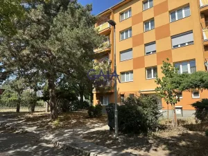 Prodej bytu 1+1, Hodonín, Brandlova, 39 m2