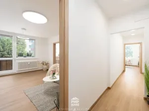 Prodej bytu 3+1, Velké Opatovice, Hliníky, 66 m2