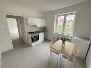 Pronájem bytu 1+1, Litvínov, Seifertova, 25 m2