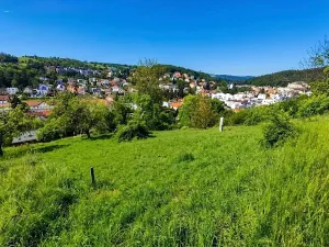Prodej pozemku pro bydlení, Luhačovice, Masarykova, 1833 m2